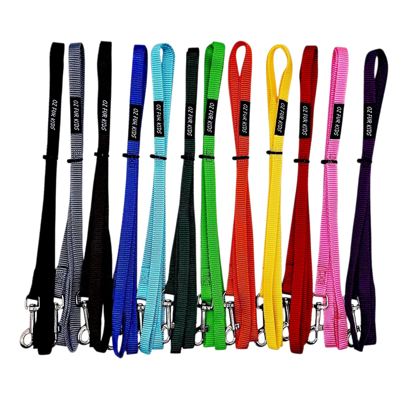 Set of 12 colorful dog leashes with metal clips on a white background