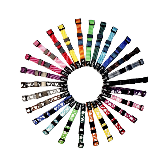 Puppy ID Collars - Puppy Paws Break Away