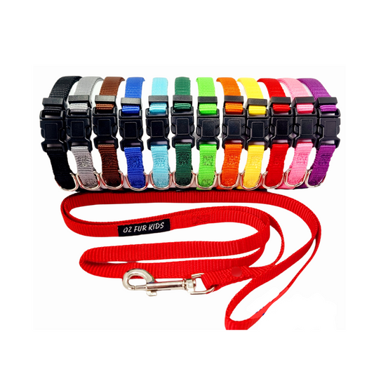 A range of colorful puppy ID collar and leash sets, with a metal D-Ring for lead attachment, displayed in two rows.