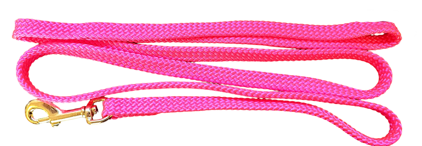 Beau Pets Flat Nylon Lead