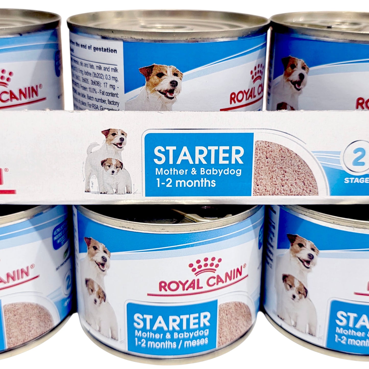 Multiple cans of Royal Canin Starter Mother & Babydog food arranged in a pattern.