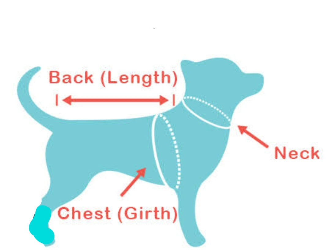 Recovery Suit Dog - Green Stripe Snap Button