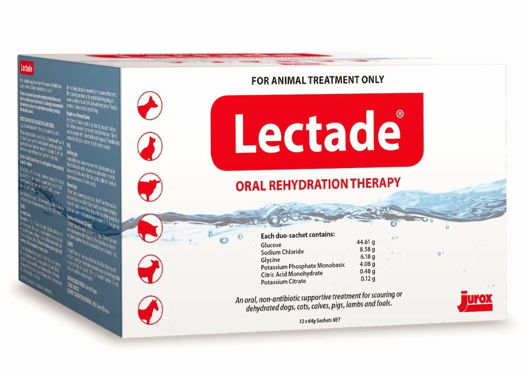 Lectade - Single Sachet or Box of 12