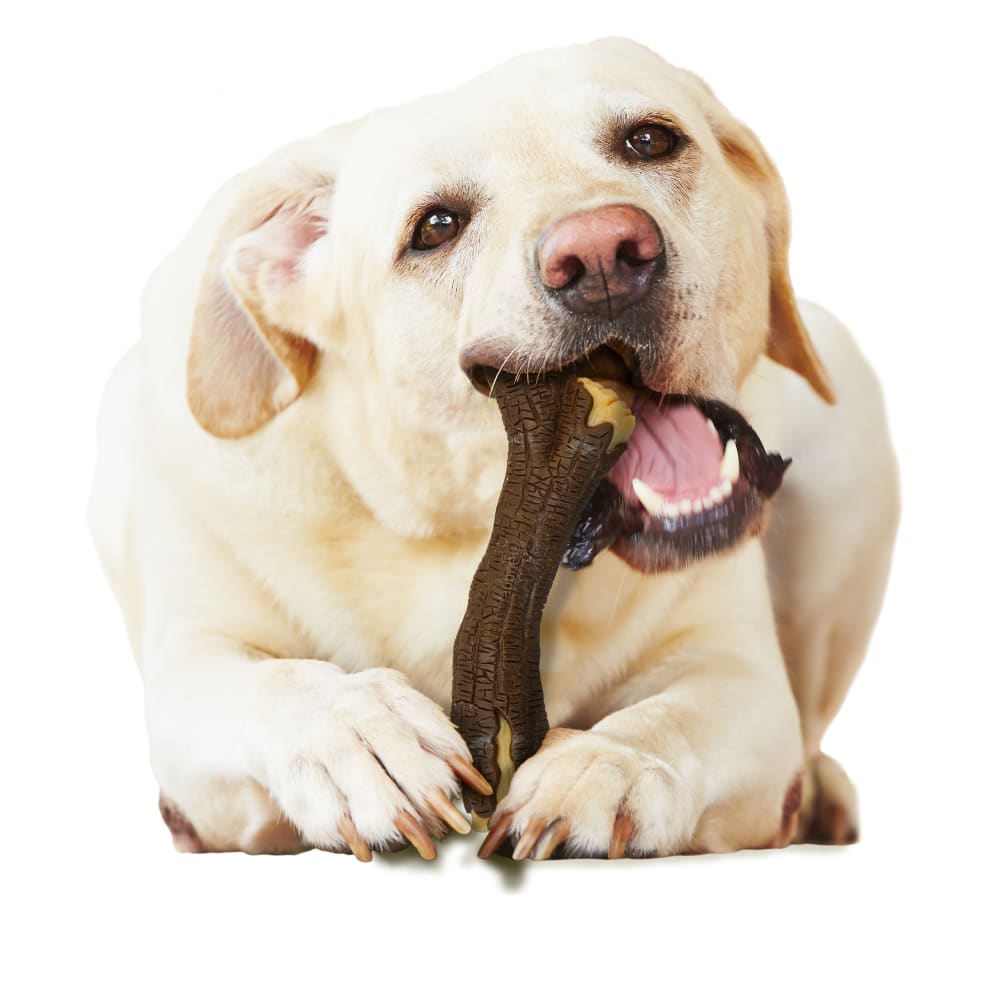 Nylabone Strong Chew Real Wood Dog Stick Maple Bacon - Souper or Wolf