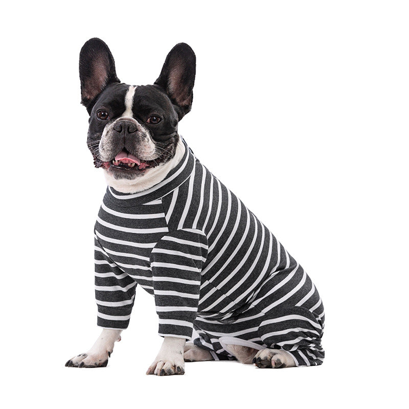 Dog sitting down wearing a black and white three quarter leg recovery suit on a white background