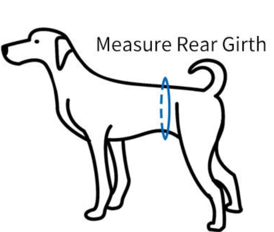 Dog Belly Bands - 2XL