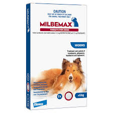 Milbemax Allwormer for Dogs Over 5kg Packet of 2 Oz Fur Kids