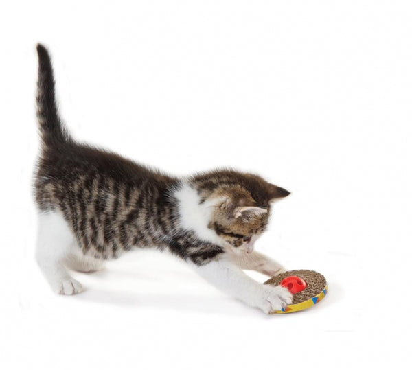 Petstages spinning balls sale