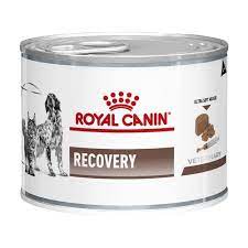 Royal Canin Recovery 195gm - Dog & Cat