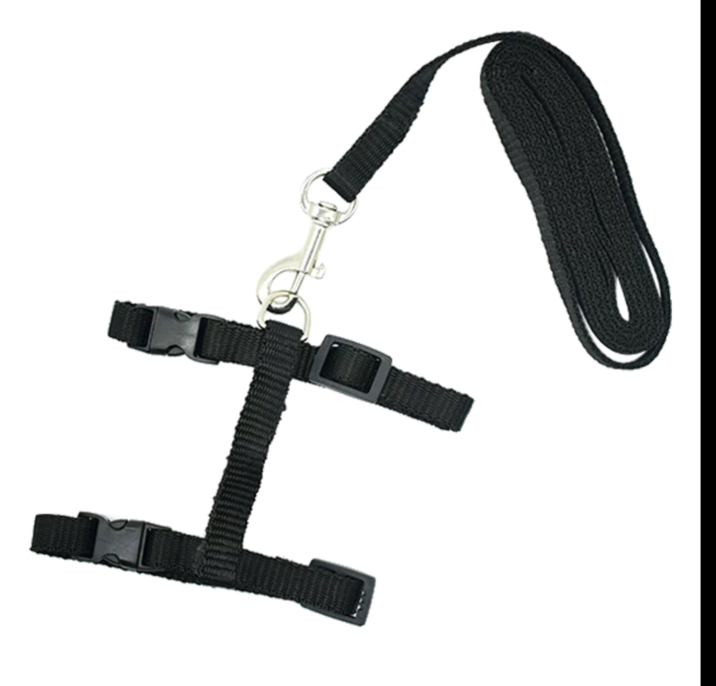Cat Harness