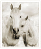 Greetings/Sympathy Cards Horses