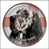Stickers -- BREEDS D to L --Various Sizes from
