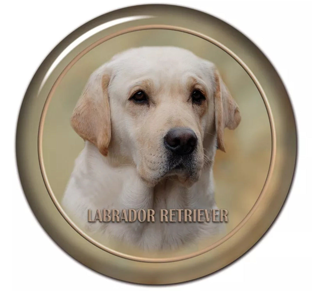 Stickers - Breeds D to L