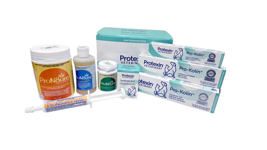 Probiotics and Prebiotics for Dogs: Supporting Gut Health and Immunity