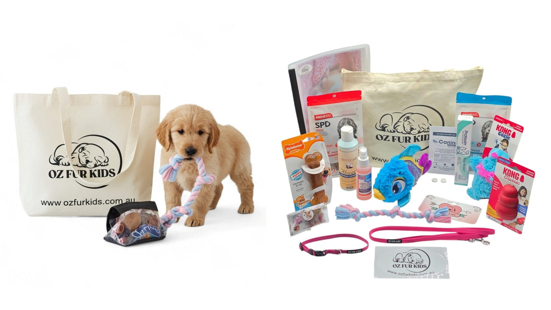 Why Puppy Packs Matter: The Benefits for Puppies, Breeders and New Owners