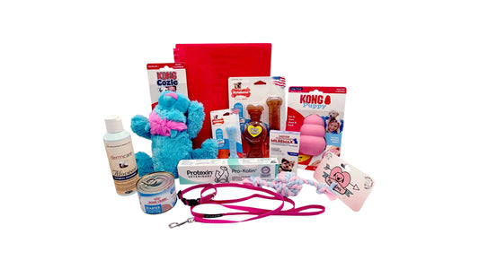 Preparing Puppy Packs for New Owners