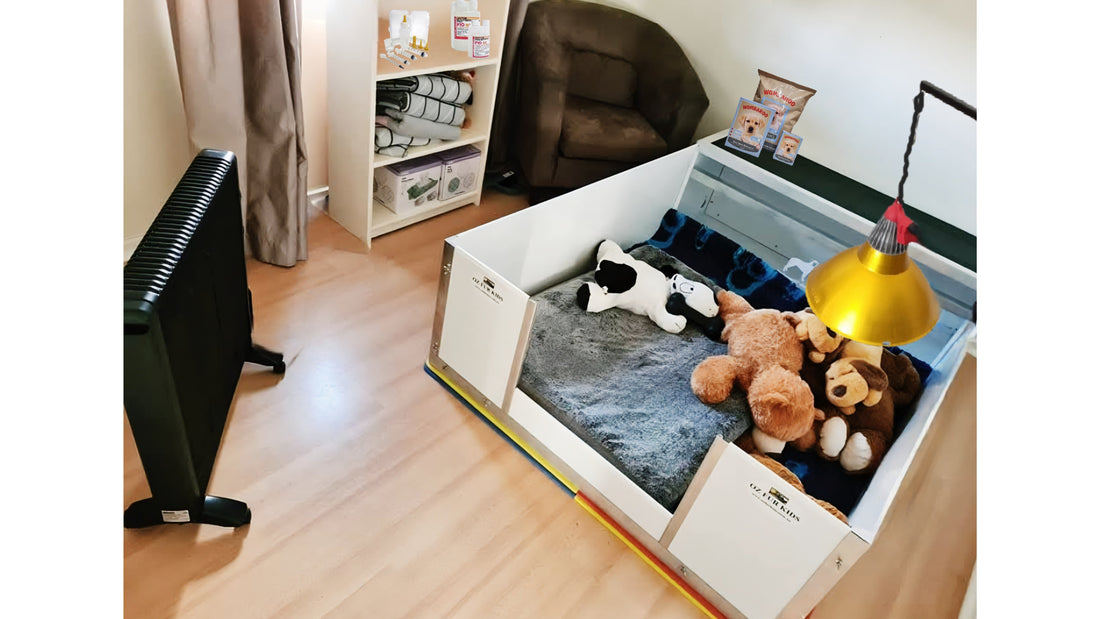 How to Set Up a Whelping Area: Supplies & Tips for Breeders