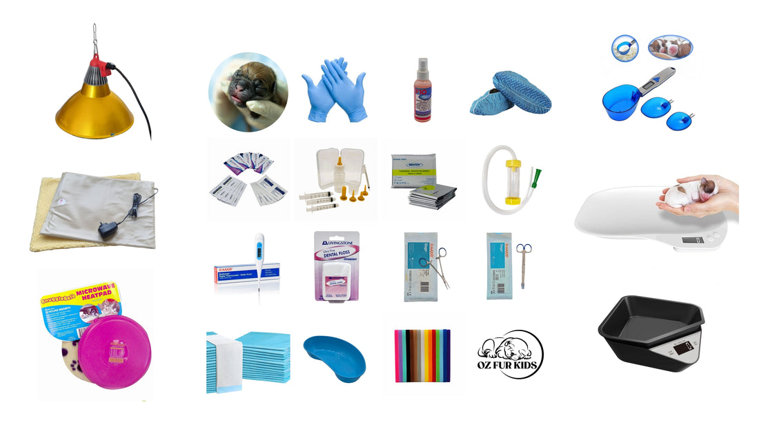 What Should Be in a Whelping Kit? Essential Supplies for Puppies