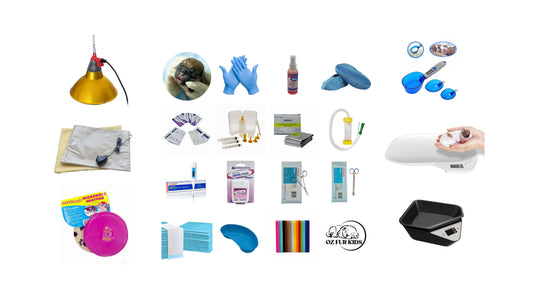 What Should Be in a Whelping Kit? Essential Supplies for Puppies | Breeding Preparation