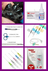 Wound Care, IV Cannulation &amp; Dew Claw Removal