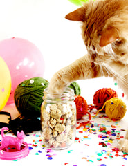 Cat Treats