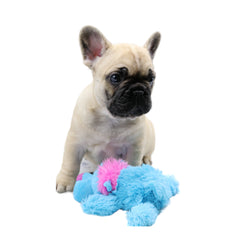 Affordable Puppy Pack Essentials