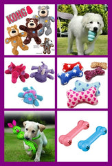 Puppy &amp; Small Dog Toys, Collars &amp; More
