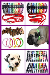Puppy ID Collars &amp; Collar &amp; Lead Sets