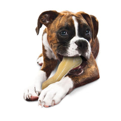 HEAVY CHEWER? Nylabone, Dogwood Sticks, Deer Antlers &amp; Goats Horns