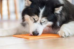 TREATS - Australian &amp; NZ Made Only!!