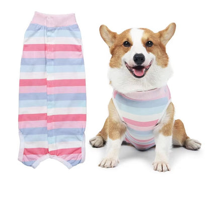 Recovery Suit Dog - Button Up - Small Dog