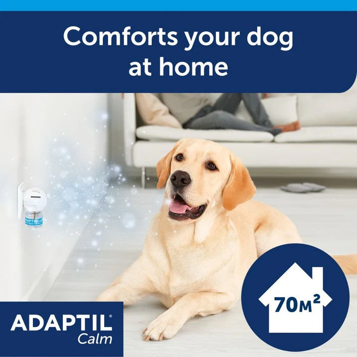 Dog sitting on a floor with a blue banner above it displaying text and an Adaptil Calm diffuser product.