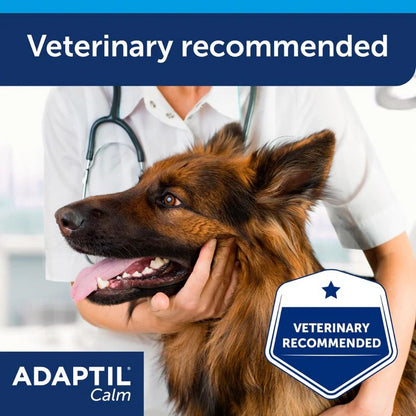 Dog being examined by a veterinarian with 'Veterinary Recommended' label and Adaptil Calm branding.
