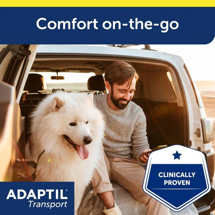 Adaptil Transport Spray man and dog sitting in the back of a car