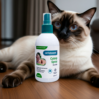 Catnip spray bottle for cats with a siamese cat in the background