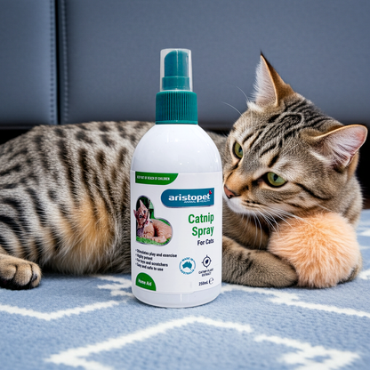 Catnip spray bottle for cats next to a tabby cat on a blue blanket