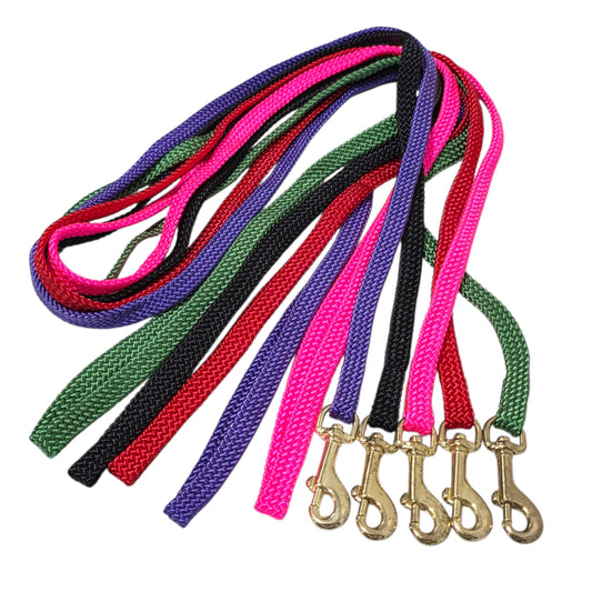 Set of colorful Beau Pets Flat Nylon dog leashes with gold clasps on a white background