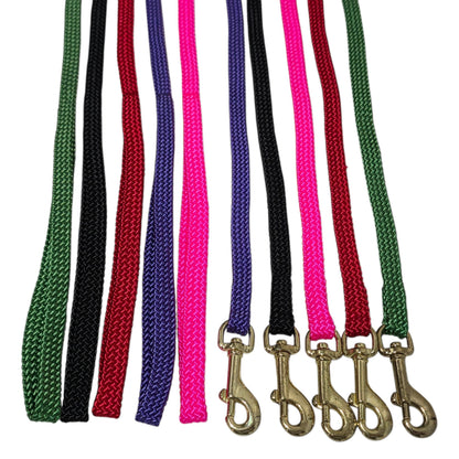 Set of colorful Beau Pets dog leashes with brass hooks on a white background