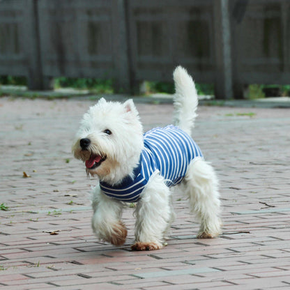 Recovery Suit Dog - Blue Stripe Snap Button