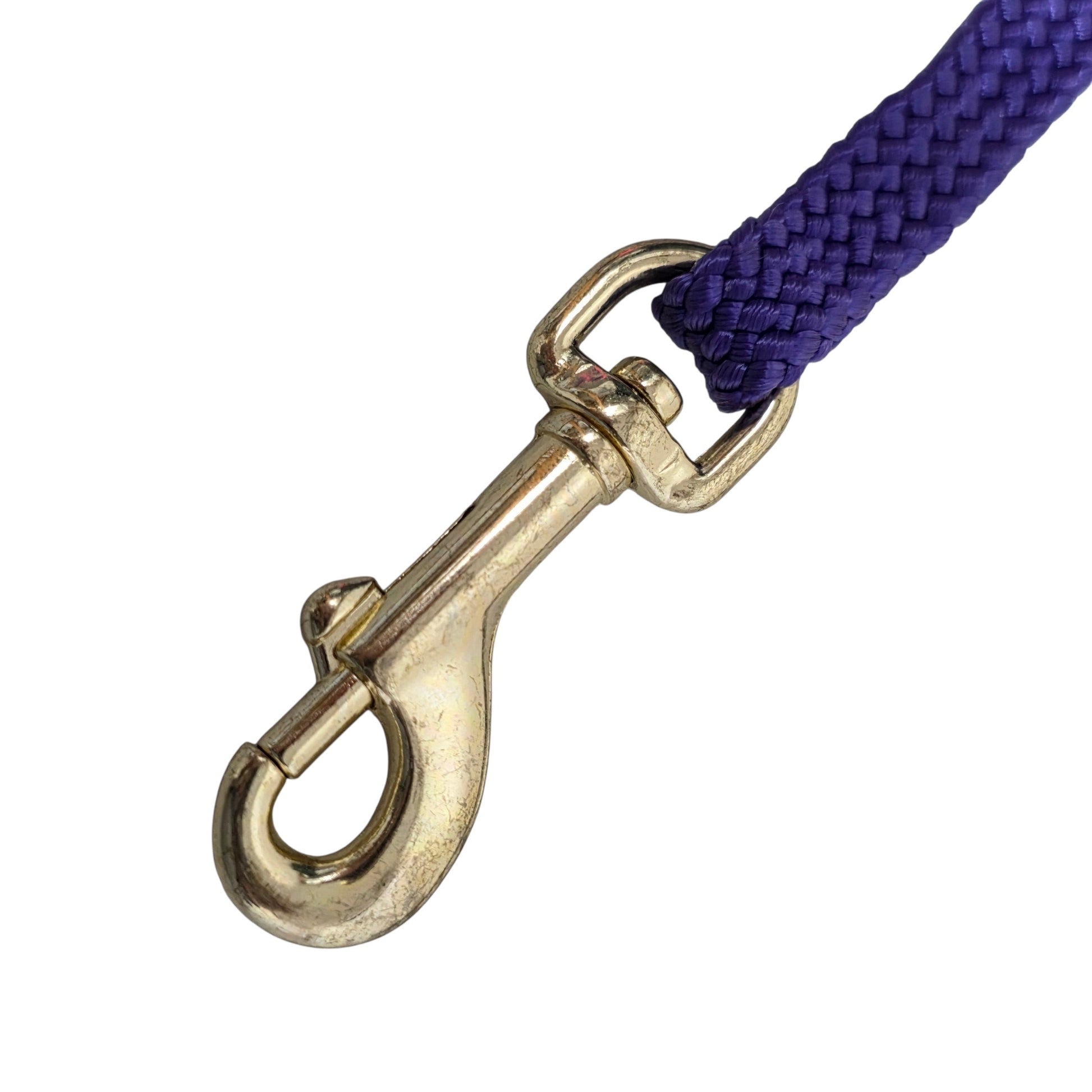 Bradd metal clip attached to a purple dog leash on a white background