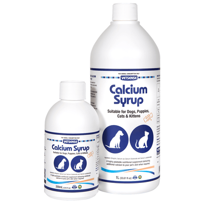 Two bottles of Vetsense Calcium Syrup, one smaller and one larger, with labels indicating they are for pets including dogs, puppies, cats, and kittens.
