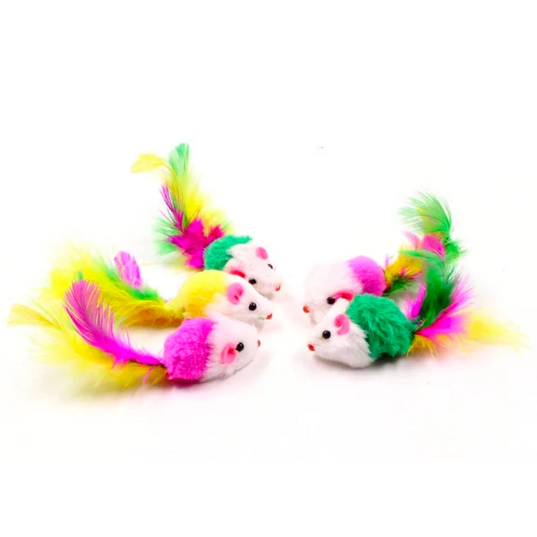 Colorful cat toys with feathers on a white background