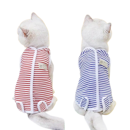 Two cats wearing striped recovery suits, one red and white, the other blue and white, on a white background.