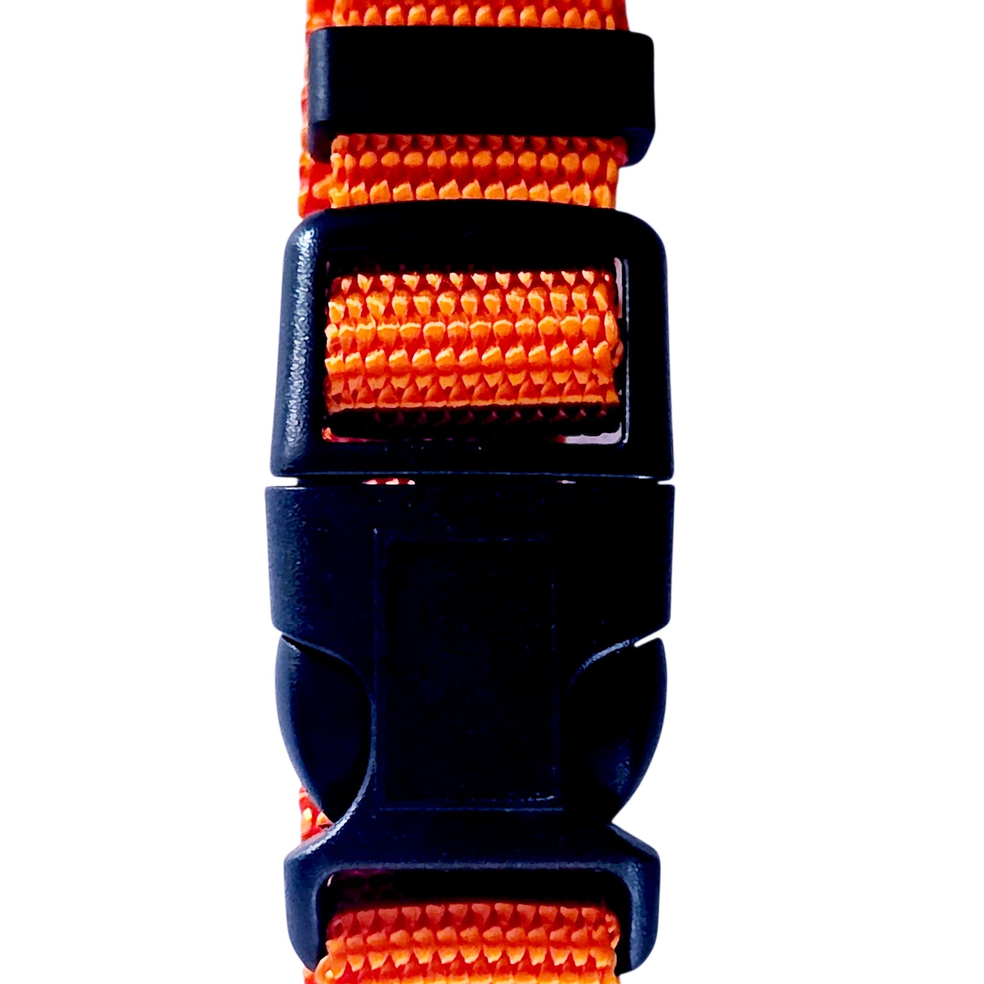 Orange and black dog collar with a buckle on a white background