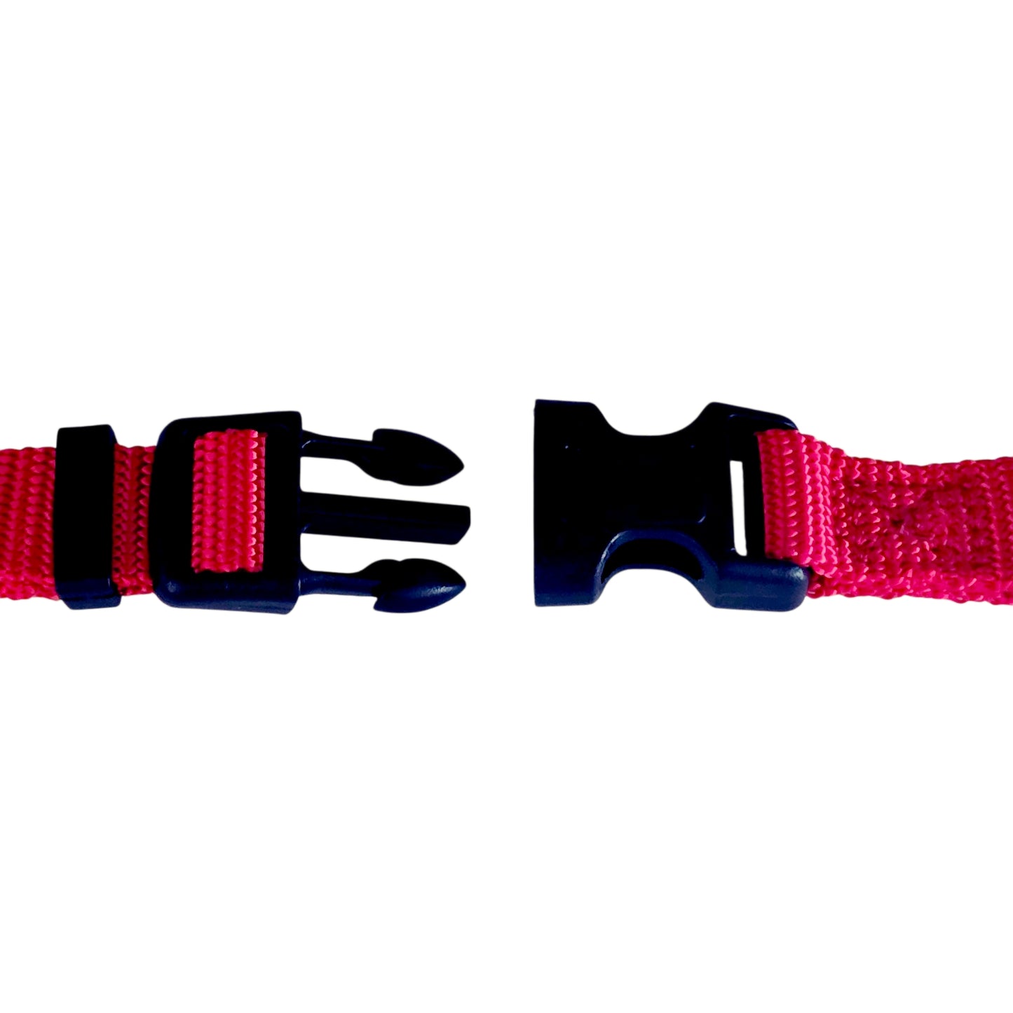 Pink dog collar with black buckle on a white background