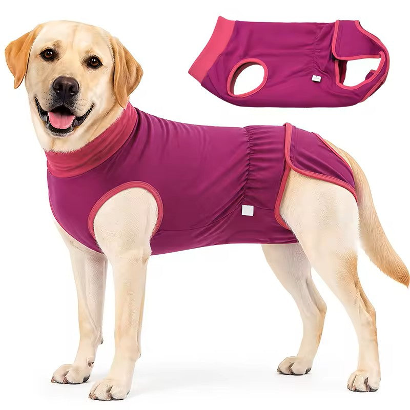 A light-colored Labrador Retriever wearing a rose red dog surgical recovery suit, with a separate image of the recovery suit floating above on a plain white background.