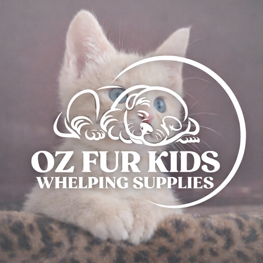 Neonatal Kitten Health Observation Chart - Free Download - Printable