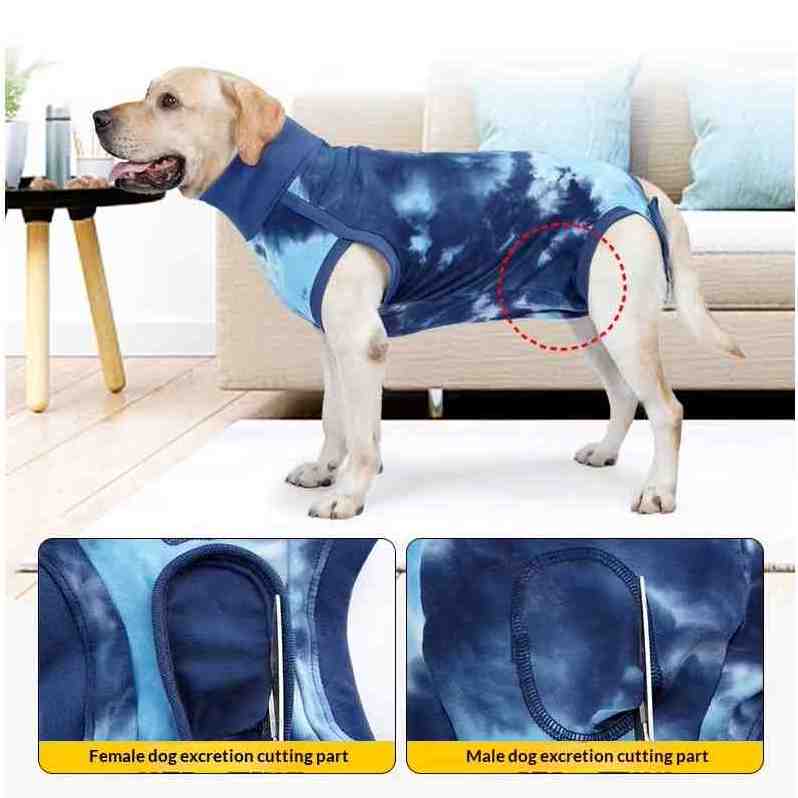 A labrador dog wearing a blue tie-dye dog surgical recovery suit shown in a living room setting, with two inset detail images at the bottom highlighting the 'Female dog excretion cutting part' and 'Male dog excretion cutting part'.