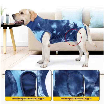 A labrador dog wearing a blue tie-dye dog surgical recovery suit shown in a living room setting, with two inset detail images at the bottom highlighting the 'Female dog excretion cutting part' and 'Male dog excretion cutting part'.
