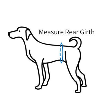 Diagram showing how to measure a dog's rear girth with text on a white background